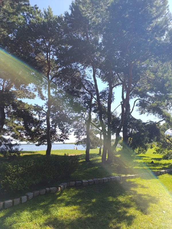 Виды Знаковые места Куршской косы