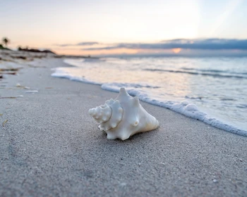 Отдых у океана