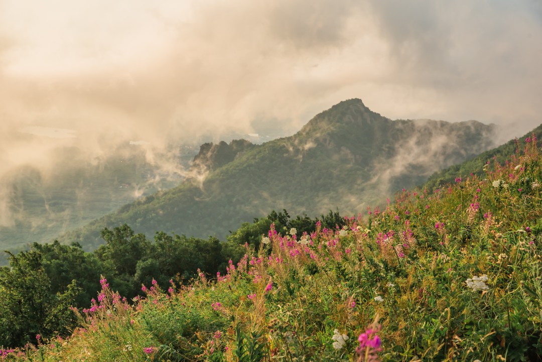 Пятигорские пейзажи: фотосессия на горе Бештау (Алексей)