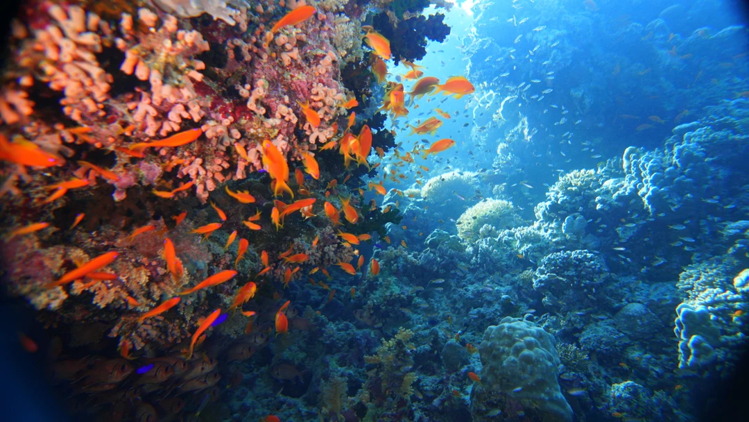 Вадим - прекрасный инструктор! Нам очень все понравилось, было страшно, охватила паника, но он профессионально и
