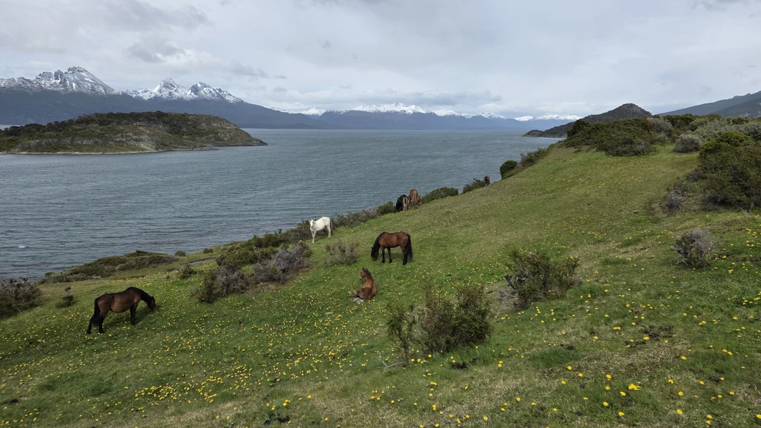 Дмитрий, великолепный ГИД. Экскурсия была просто чудесной. Впечатлений от окружающей природы в тандеме с рассказами Дмитрия