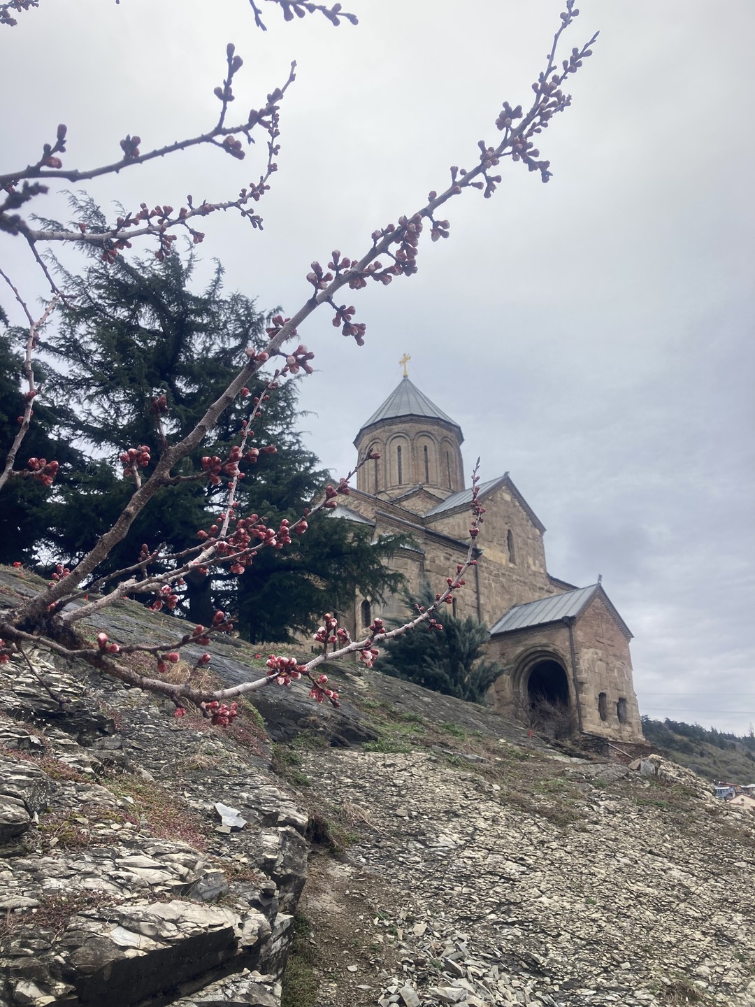 Цари, прачки и тулухчи (Ксения)
