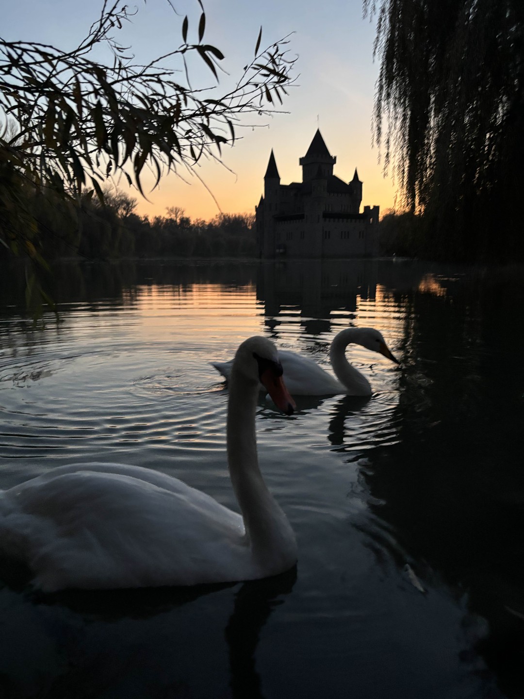 Прекрасные локации, нам очень повезло с погодой. Уехали с большим количеством эмоций и красивых фотографий