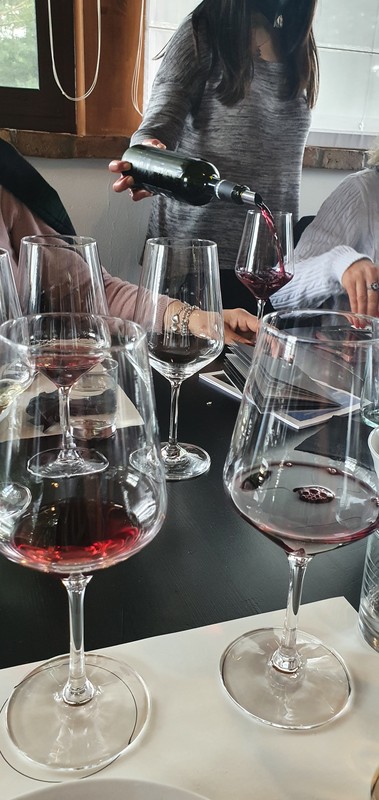 Дегустация вина на винодельне близ Палермо