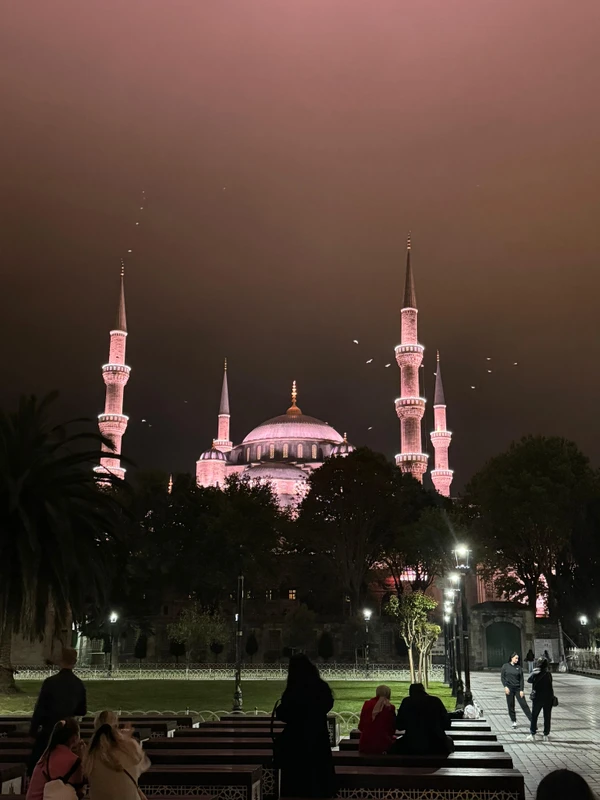 Стамбул с лицензированным гидом