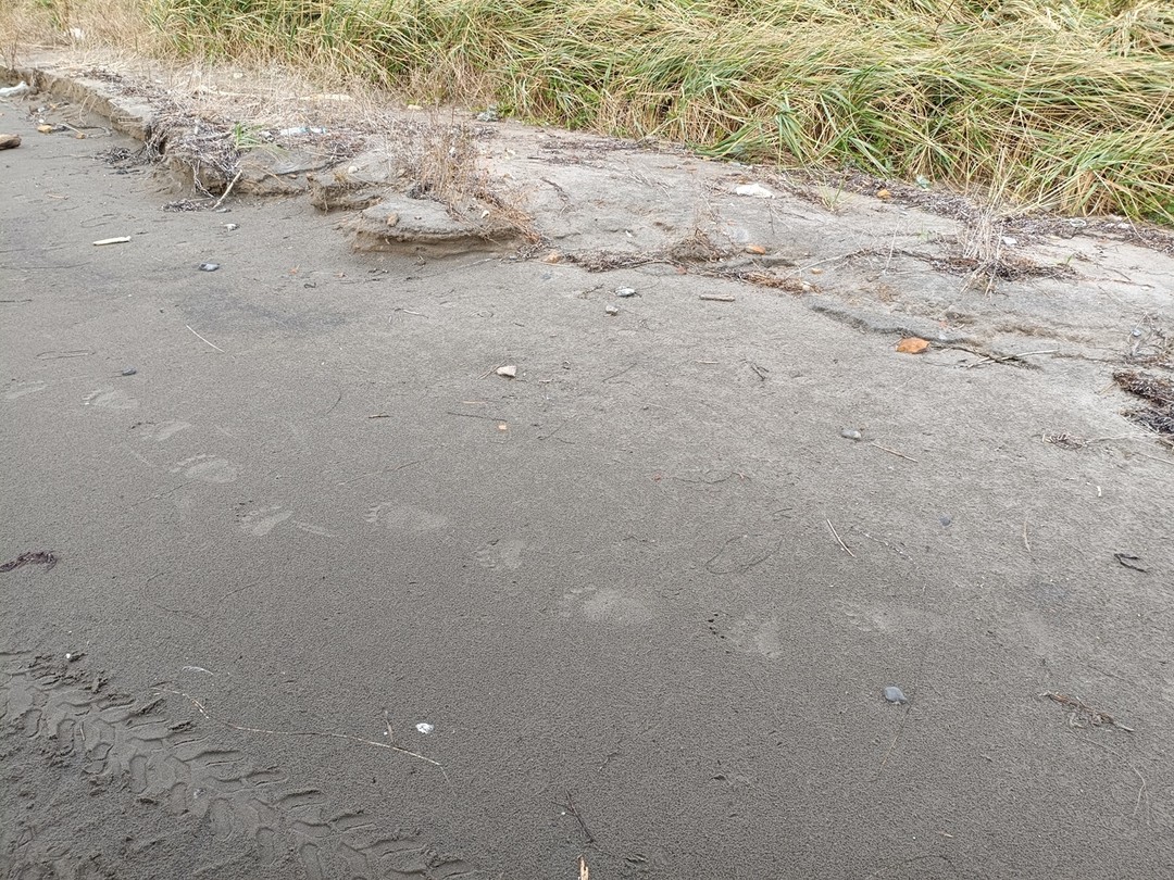 Эта поездка предназначена именно для тех, кто любит джип-покатушки по бездорожью. Я, например, их люблю. Бездорожье