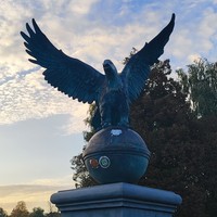 reviews img