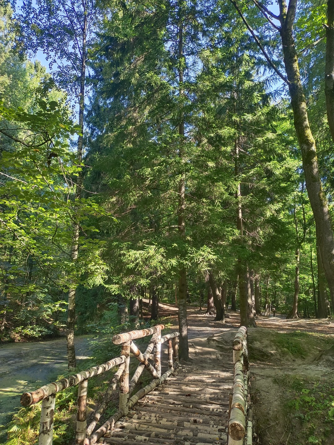 Мария, спасибо Вам за чудесный день и новые впечатления! Как будто побывала в сказке!