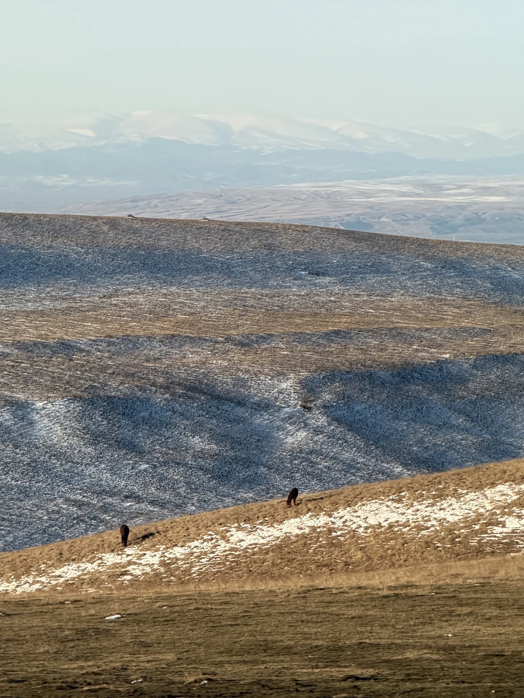Две Кахетии за 1 день: пещерный монастырь Давид-Гареджи, пустыня и город Сигнаги (Мария)