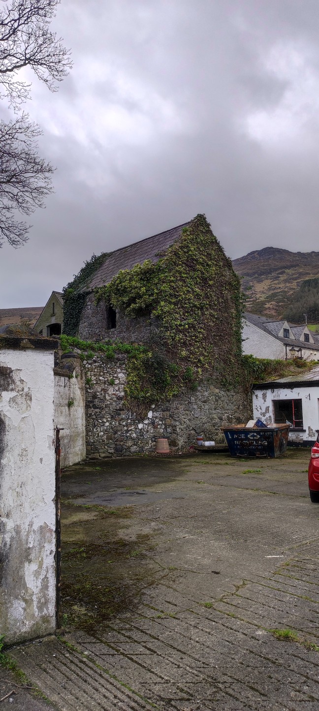 Всё было очень интересно. Удивительные развалины старинных замков, очаровательное побережье, получилось полюбоваться тюленем. Очень вкусный и