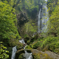 Фото отзыва 1: экскурсия "Батуми и горная Аджария за 1 день"