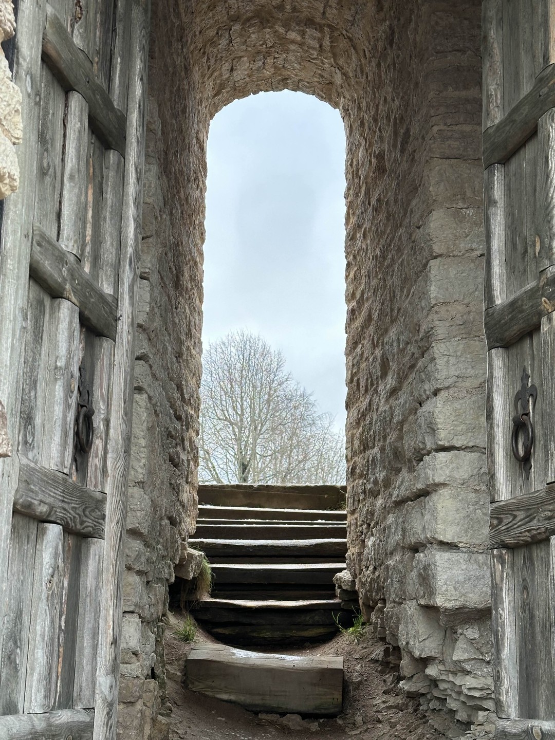 Всем, кто хочет знать «откуда есть пошла земля русская», поможет прекрасный гид Даниил, который прекрасно осведомлён об этом