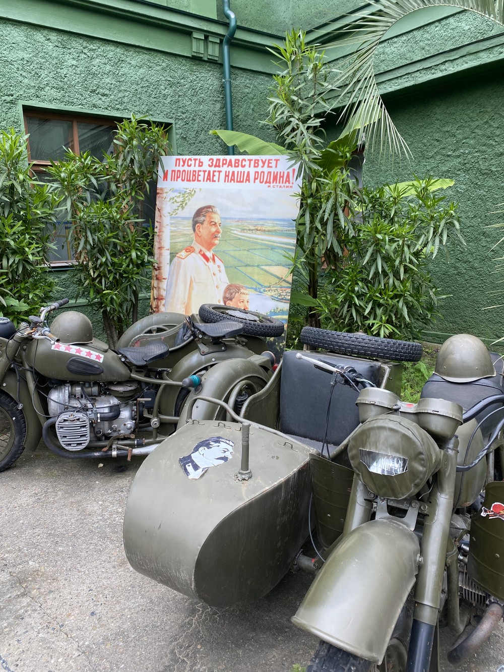 Удивительный Сочи: знакомство с городом (6/17)