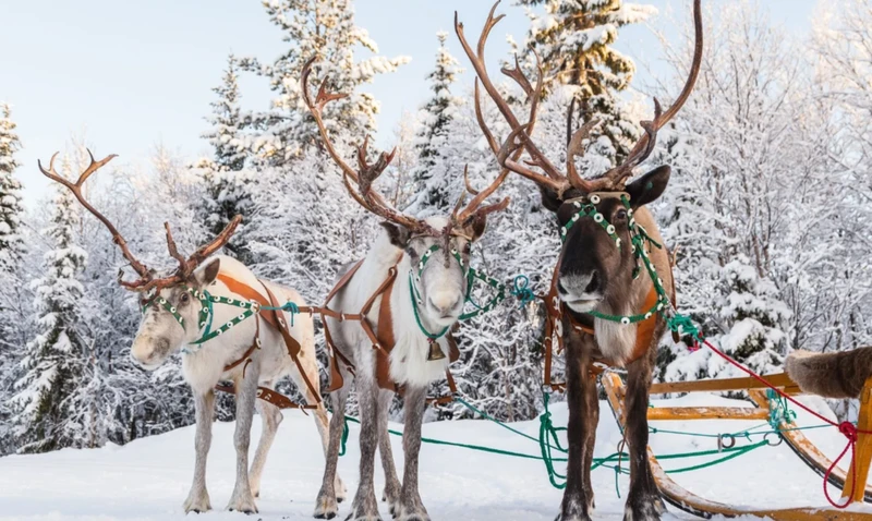 Перезагрузка на Кольском: видеть, чувствовать, удивляться