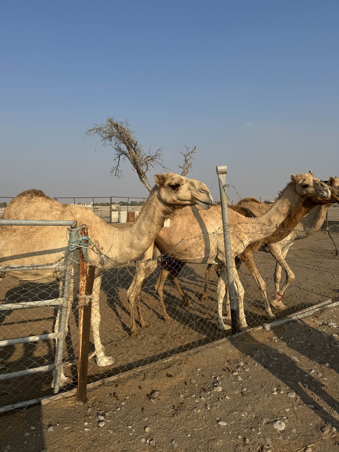 Интересная экскурсия, замечательный гид Андрей, шикарные локации, всё понравилось!