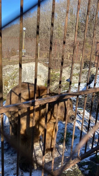 Незабываемые впечатления мы получили в путешествии по Адыгее с Алексеем! В экстрим-парке прошли по тропе героя