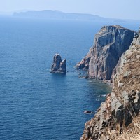Фото отзыва 2: экскурсия "Приморский сафари-парк, бухта Стеклянная и мыс с двухтысячной купюры. Индивидуальная экскурсия"