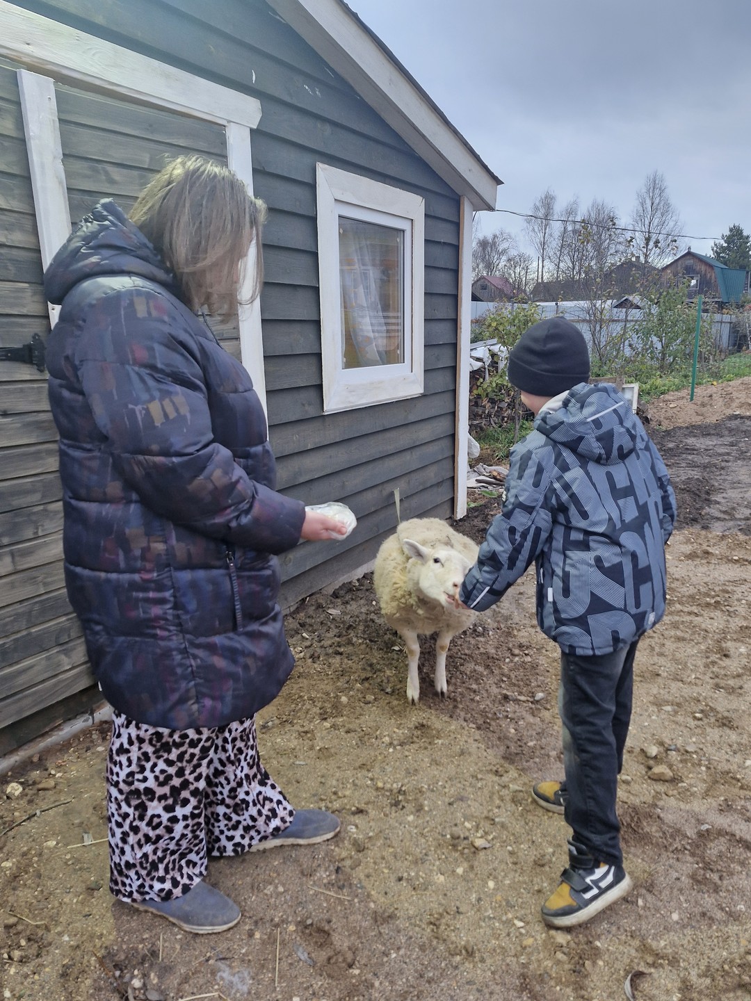 сегодня с мамой и сыном 8 лет были на мк по прядению. Большое спасибо Евгении! сначала состригали шерсть с