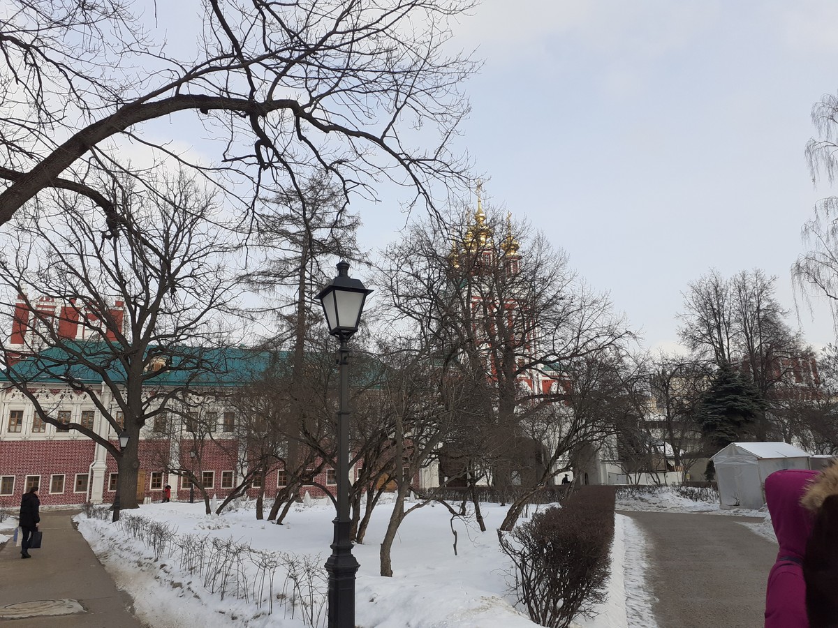 Экскурсия по Новодевичьему монастырю в мини-группе (17/20)