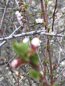 Фото отзыва 1: экскурсия "Путешествие в глубь веков: тайны Гобустана и Апшерона."
