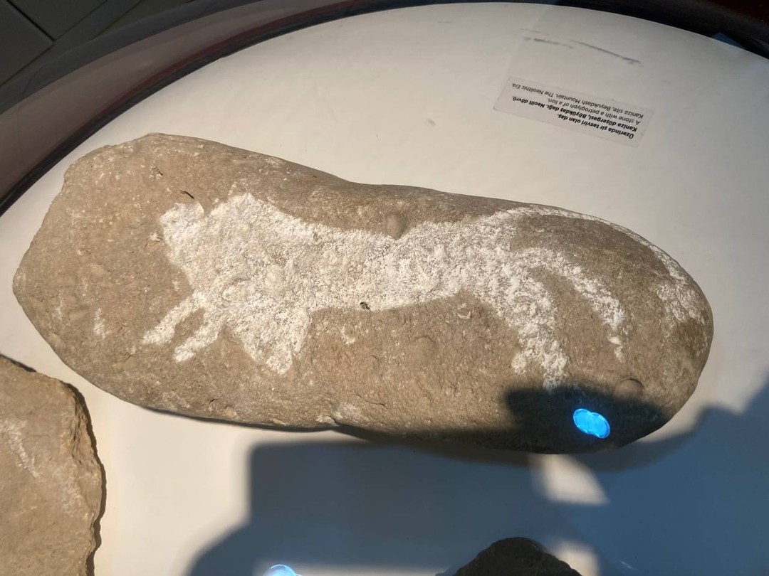 Несмотря на сильный ветер и недавно прошедший дождь (такая она - зима в Азербайджане) впечатлений масса.