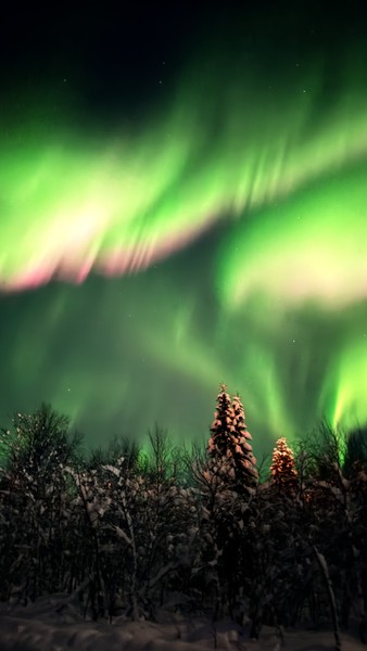 Обыкновенное чудо Арктики: на поиски северного сияния в мини-группе (Татьяна)