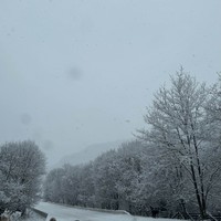 Фото отзыва 3: экскурсия "Из Ессентуков — в великолепный Домбай!"