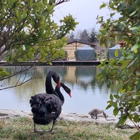 Фото отзыва 3: экскурсия "Шемаха, Габала, Шеки и Киш: индивидуальный тур по Азербайджану"