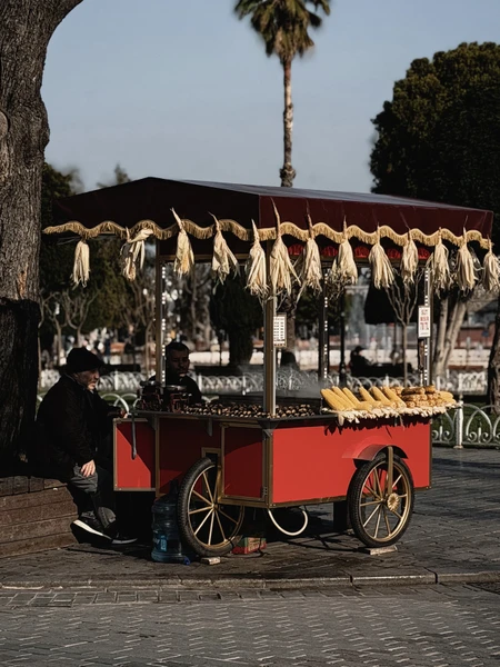 Экскурсию проводил сам Олег, очень приятный гид, к сожалению, не удалось попасть внутрь главных достопримечательностей Стамбула