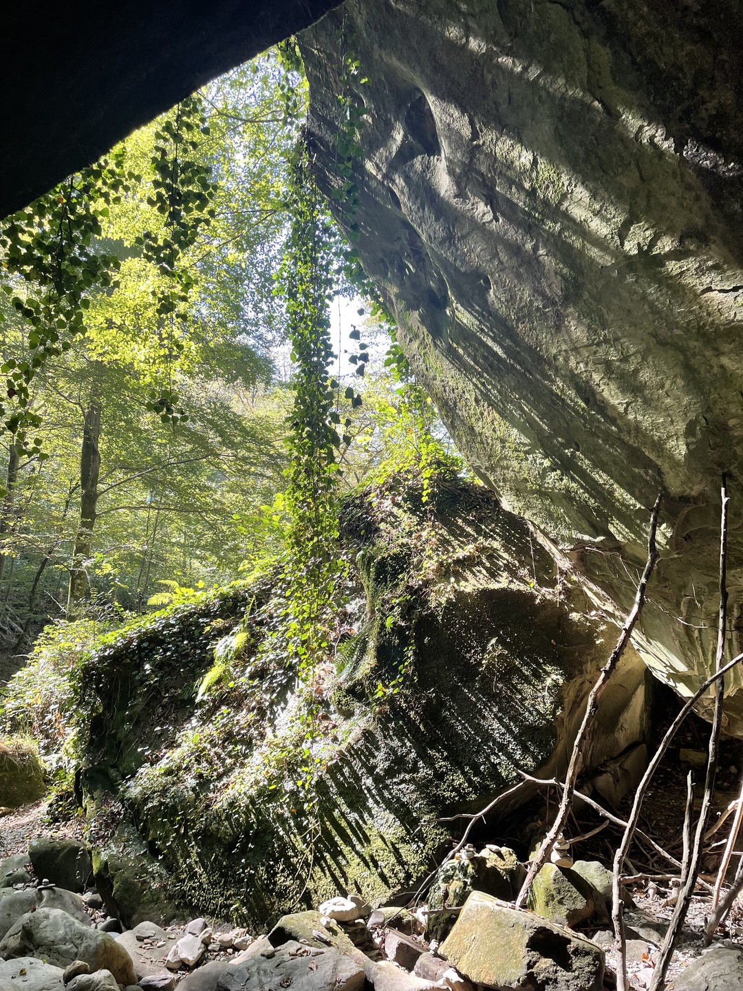 Это был потрясающий отдых, приехала с больным желудком… уехала со здоровым 👍 Мария очень вкусно готовила,
