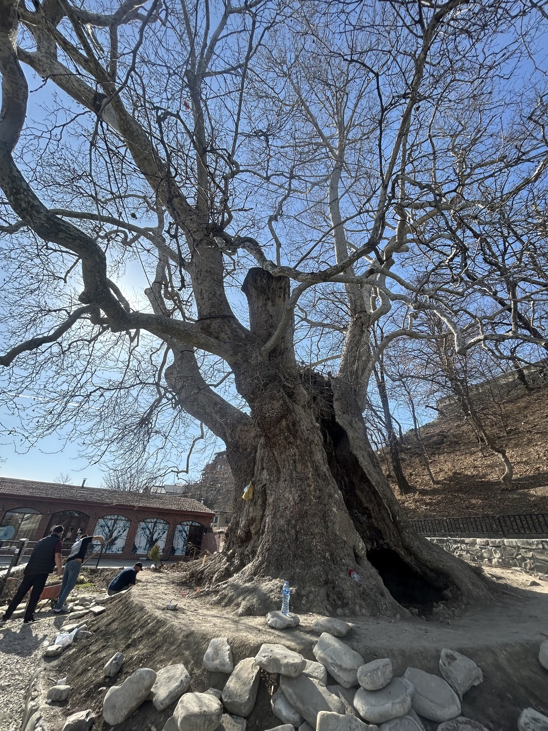 Гамарджоба, Кахетия, винный край (Мария)