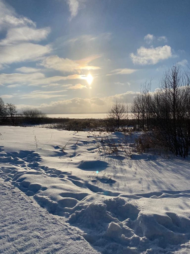 Отличная экскурсия! Нашим гидом была Тамара-человек прекрасно знающий свой город, безмерно влюблённый в свой родной край