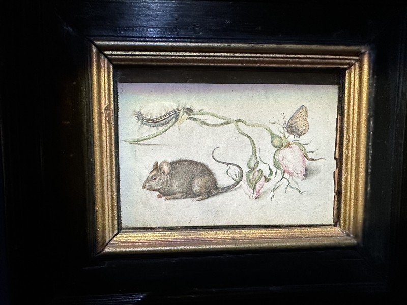 Пинакотека Амброзиана или Как смотреть на картины