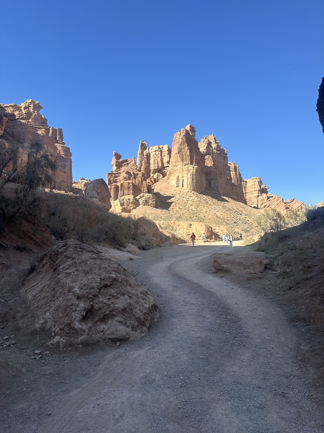 Чарынский каньон, Долина замков, озёра Кольсай и Каинды - из Алматы (Юлия)