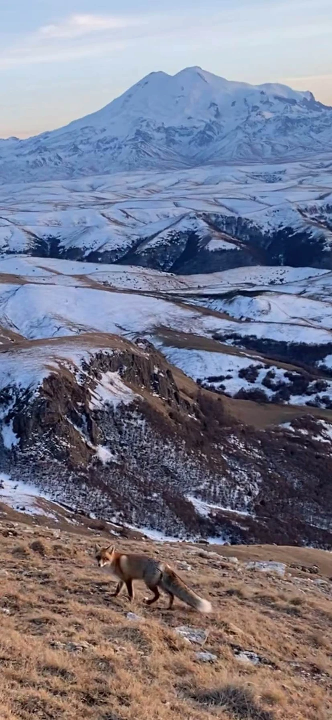 Очень понравилась поездка на плато Бермамыт! Где еще можно найти такой фантастический вид: Эльбрус и весь