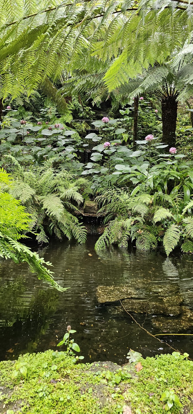 Очень понравилось! Гид умничка! Интересно и много рассказывал. Рекомендую.