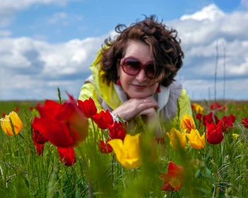 Тюльпанные поля, Одинокий тополь