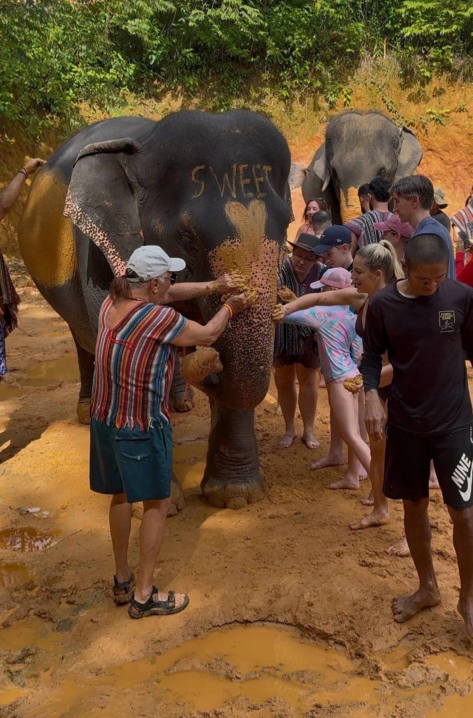 Были на экскурсии 14.11.25, заповедник: Phuket Elephant care. Отмечу очень удобное время старта - 12ч. дня