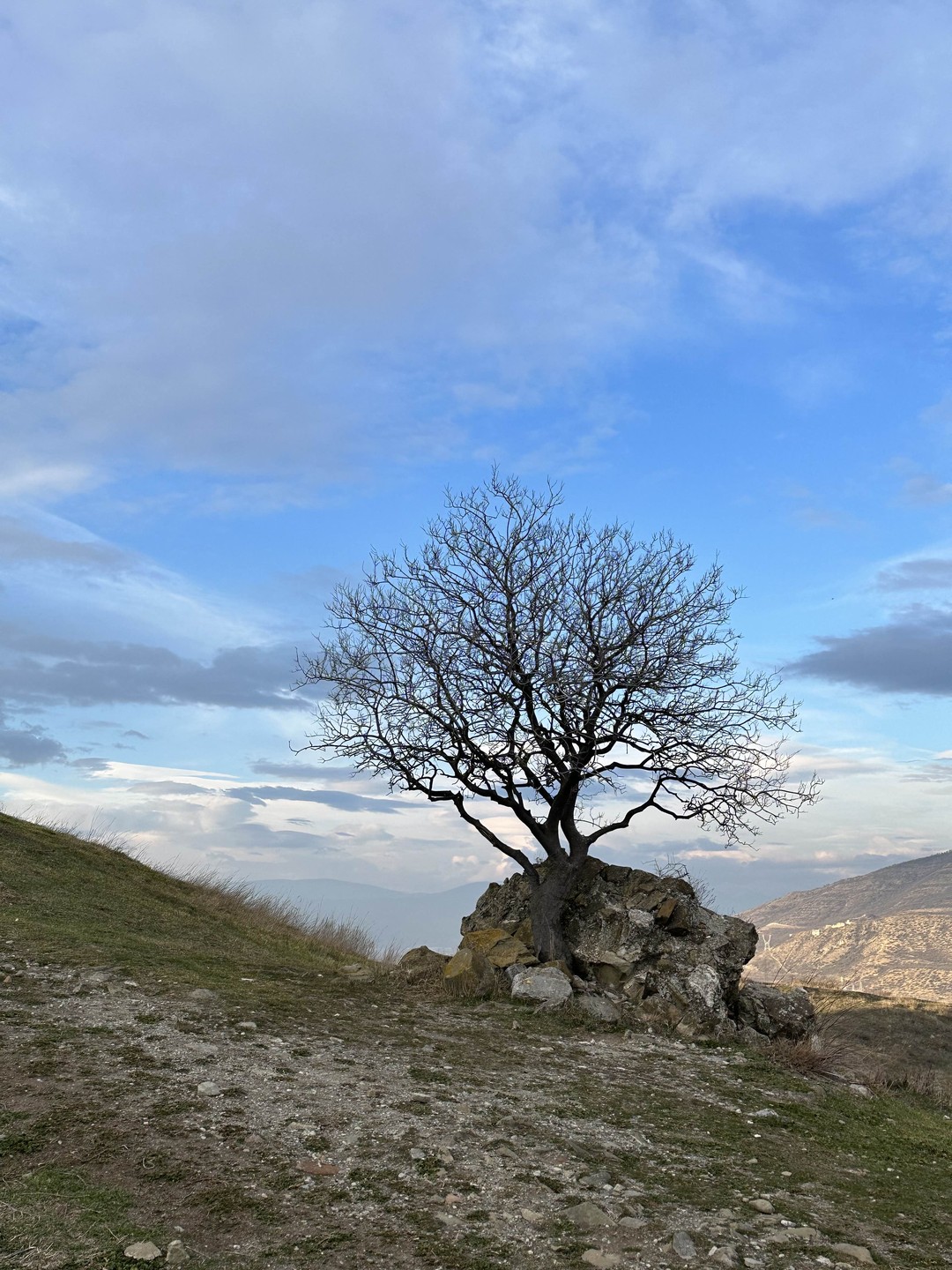 Тур одного дня: Мцхета, Казбеги, Ананури (Светлана)