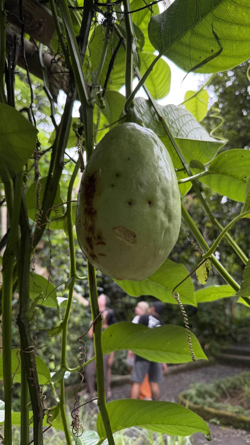 Вот вариант отзыва — живой, эмоциональный и «по-инстаграмному», но при этом информативный: