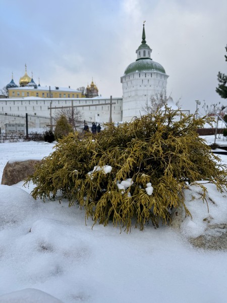 Очень интересная и познавательная экскурсия! Подробный, детальный рассказ и возможность задать любые вопросы и получить на них ответ!