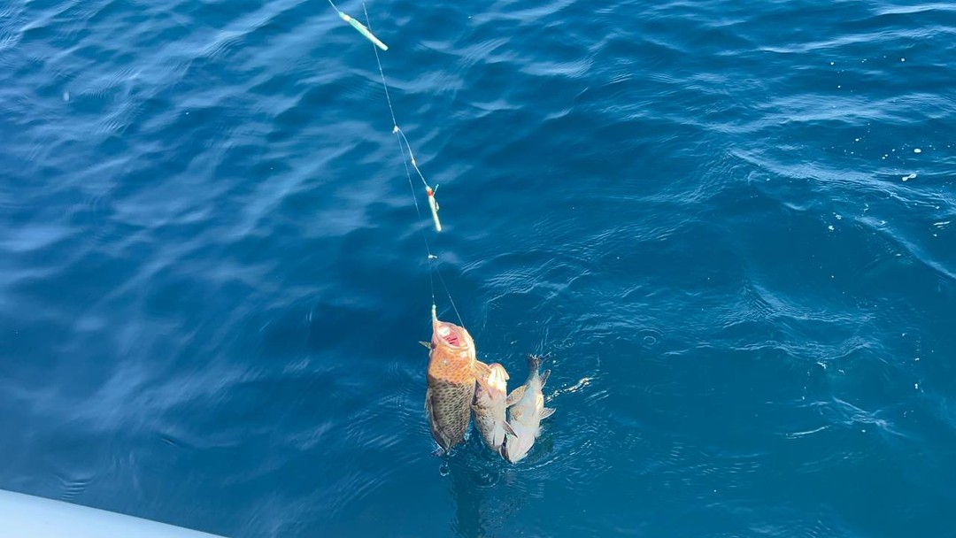 Только самые приятные впечатления от экскурсии!)