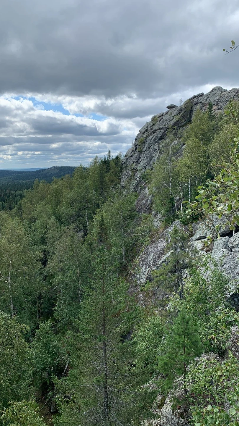 Отличная экскурсия - мы испытали полный спектр ощущений: маршрут по непроходимым участкам, контакт с дикой природой,