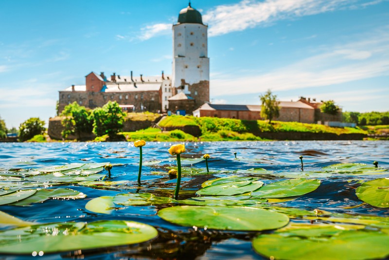 Выходные на берегах Выборгского и Финского заливов только для вашей компании