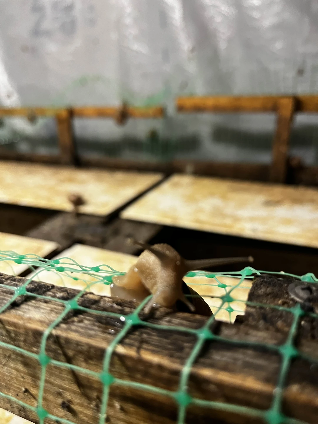 Все очень понравилось, Василий интересный рассказчик, экскурсия понравилась, дегустация улиток - отлично!!!