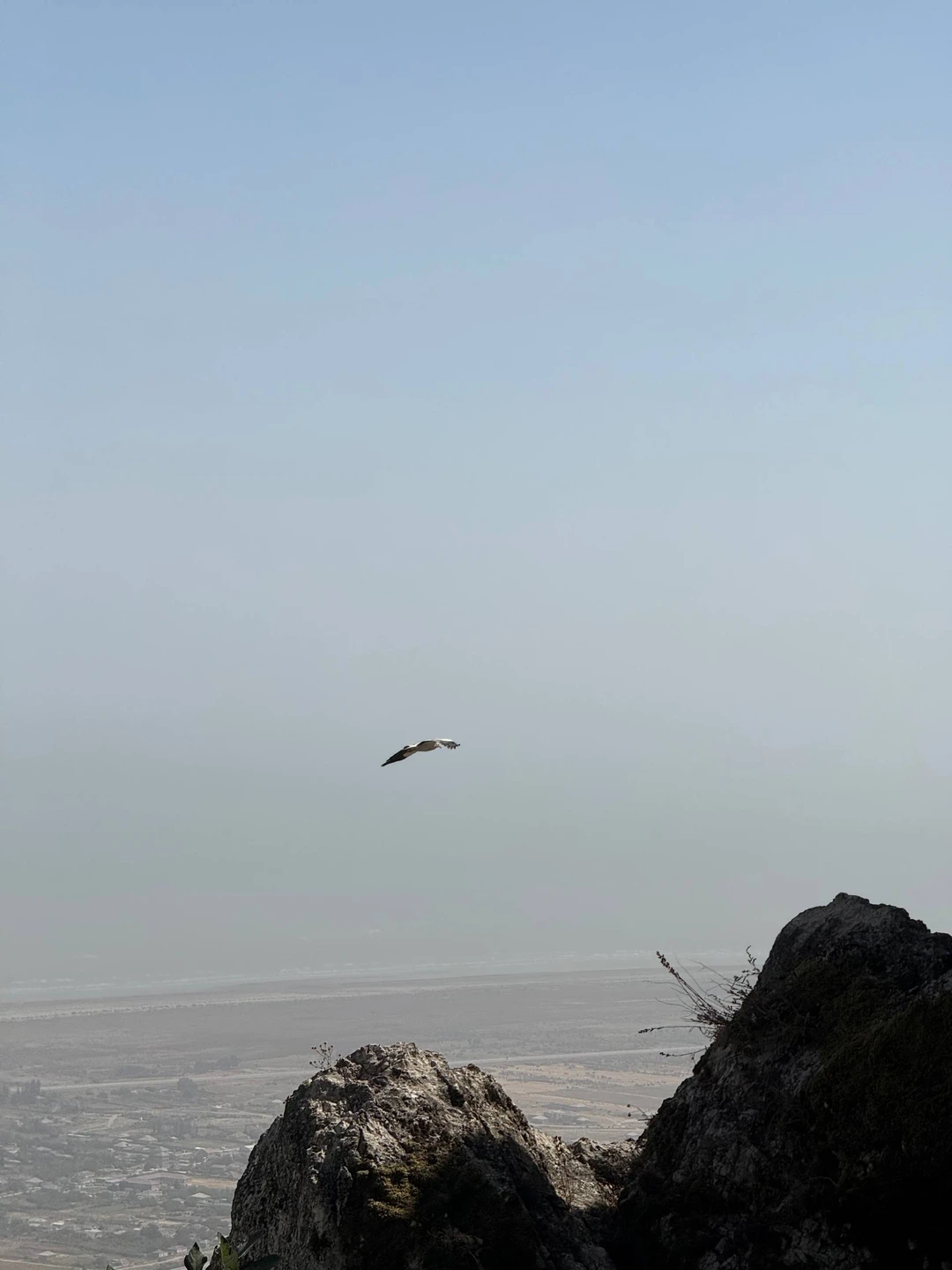 Радужные горы, Розовое озеро, гора Бешбармаг + чаепитие на вершине (Diana)