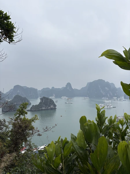 Очень классная экскурсия! И прогулка по Ханою в первый день, и невероятный круиз в Халонг. Все