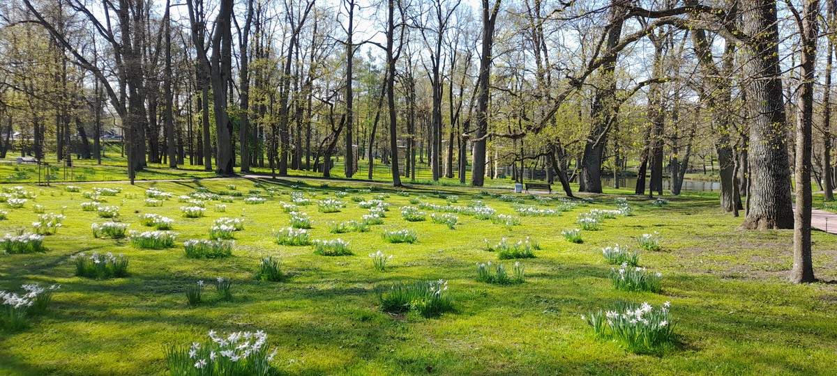 Гатчина: от императорской резиденции до столицы Ленинградской области (8/13)