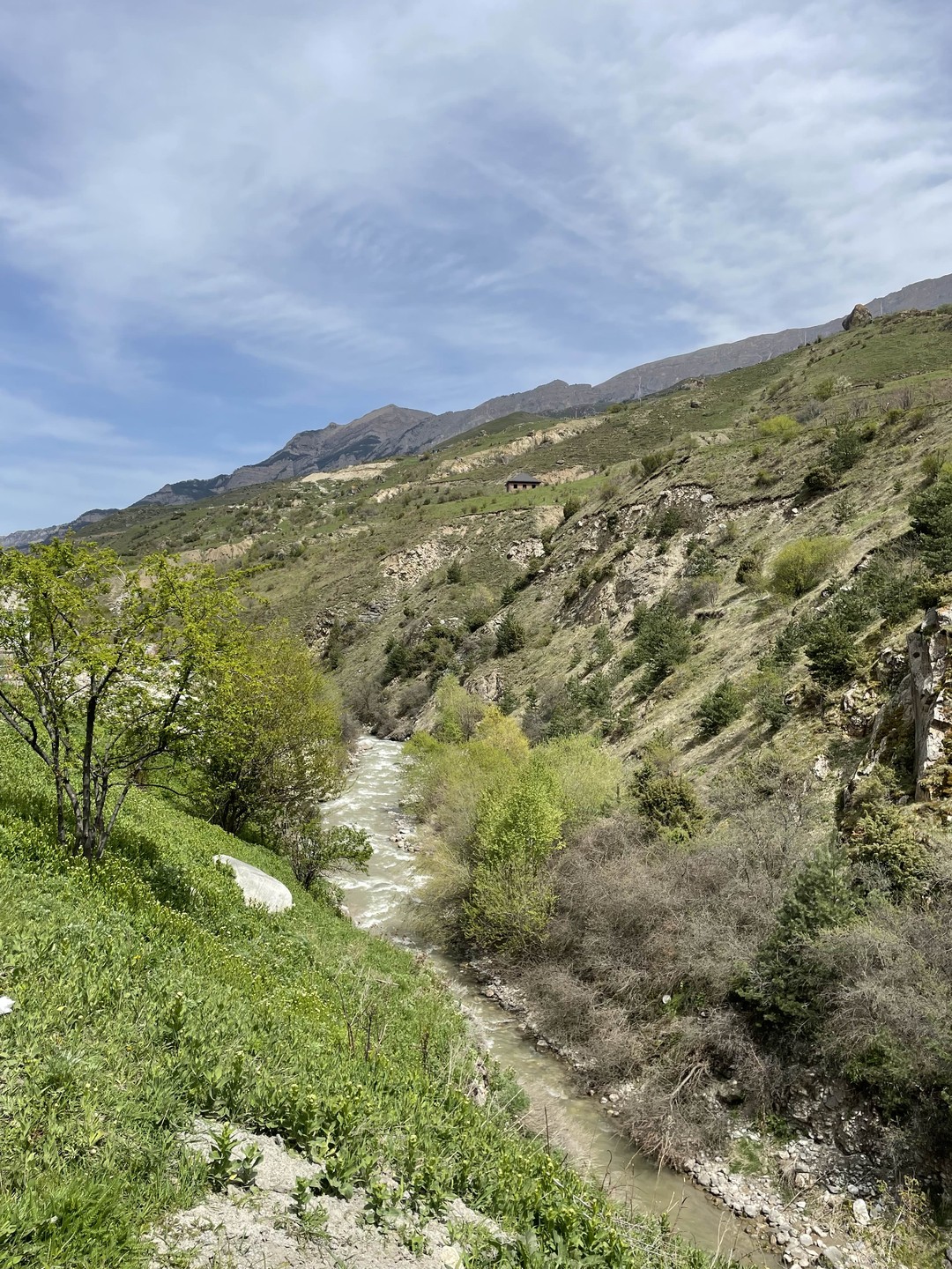 Горная Дигория: Задалеск, Камунта, Галиат (Марина)