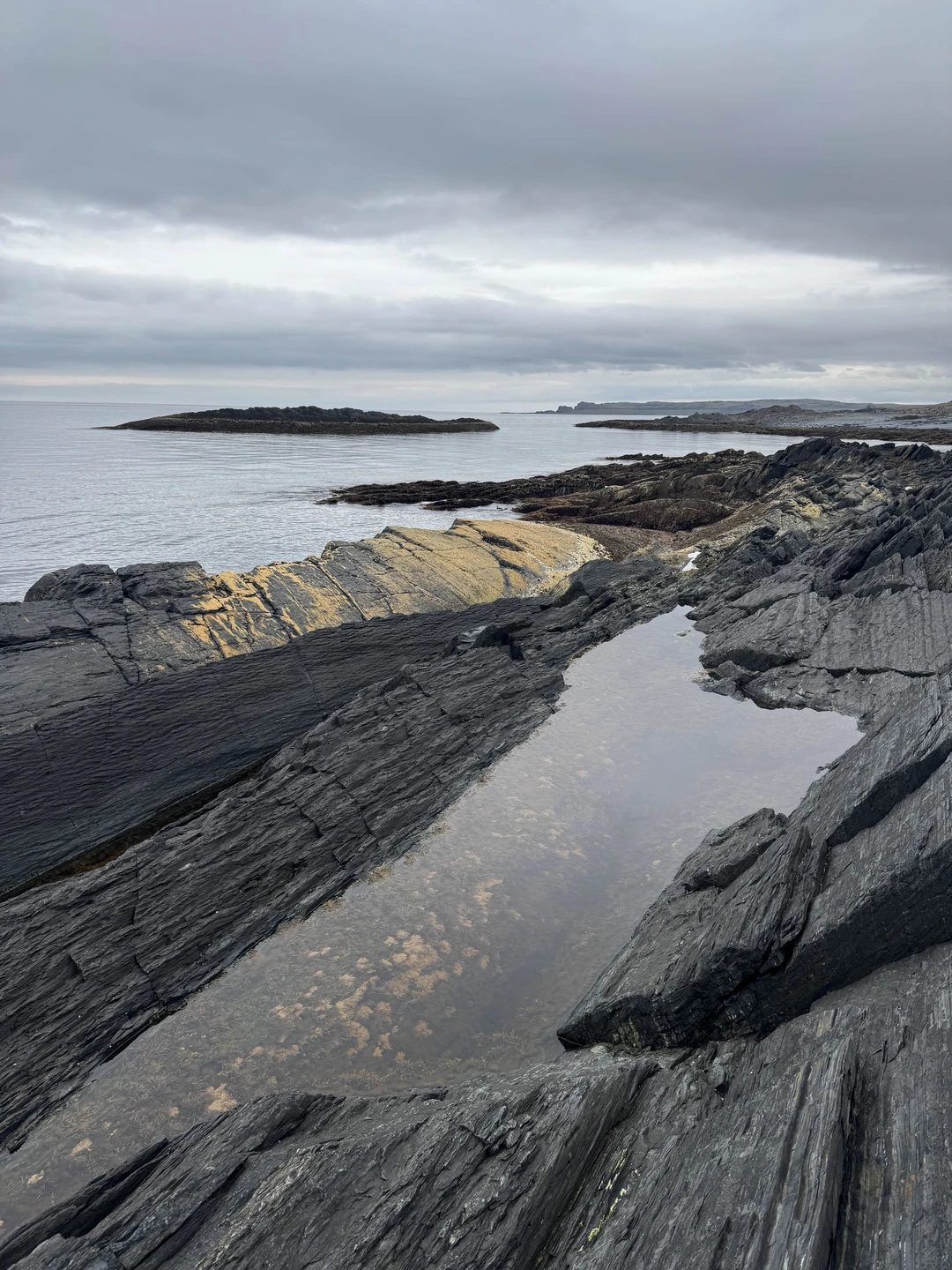 Невероятная природа, суровая и красивая тундра, бесподобные краски, вокруг много разной ягоды и грибов (экскурсия проходила